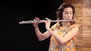 Tamandua - Bole Bole
