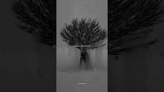 Keane - Somewhere Only We Know | And if you have a minute, why don't we go | Aesthetic #song #lyrics