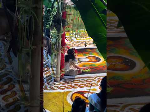 Kavu🤍 #creator #malayalam #god #snake #traditional #templesofindia #cultural #ulsavam #nature