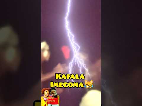 #comedy  kafala imegoma 🤣🤣wanajila nyama wenyewe