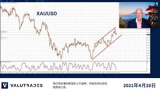 交易日经指数（JP225）多头。AUDNZD空头机会。