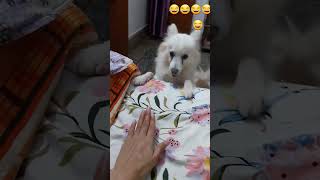 #shorts#राधे राधे cute baby💗😂