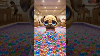 Dog's EPIC Pool Makeover! Buys Orbeez, Turns Pool into a GIANT Ball Pit! 🤯💦#shorts #cute #dog