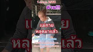 📣เลขเด็ดเลขดังแม่กาย หลุดมาแล้วสามตัว ตามต่อ 1เมษายน2568 #หวย #เลขเด็ด #shorts