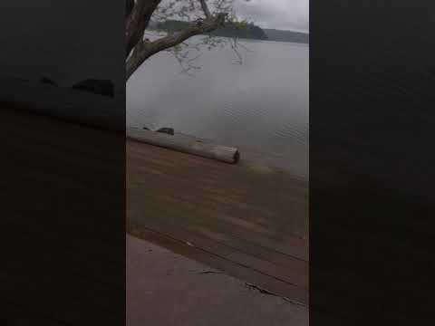 あれ、ちよっと寒くないか。#ぼっち #lake #散歩