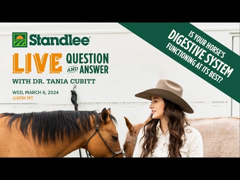 Is Your Horse's Digestive System Functioning at Its Best? - Horse Nutrition Live Q & A w/ Dr. Cubitt