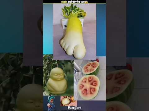 Insanon se pahle fruit kaise dikhte the#facts #shortvideo #amazingsfacts #short #shorts