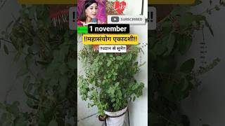 1 nov. Ekadashi Mahasanyog 💯💯@shivgora-v6q