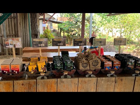 Pakse Highland Coffee in Laos