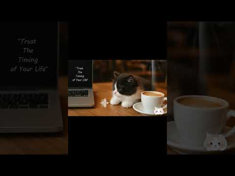 เพลงเปิดร้านกาแฟ ☕️ #shorts #chillmusic #musicgenre