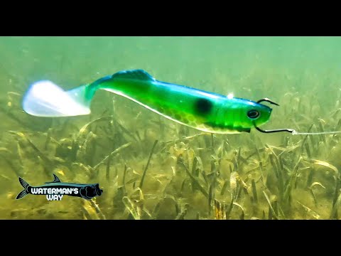 SECRET NEW FISHING LURE! 🤫. How to catch BIG TROUT on the flats all Winter and Spring long!