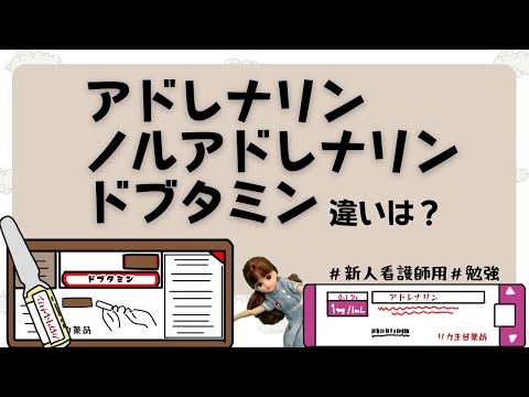 【カテコラミン】アドレナリン/ノルアドレナリン/ドブタミン違いは？#新人ナース#勉強#看護師