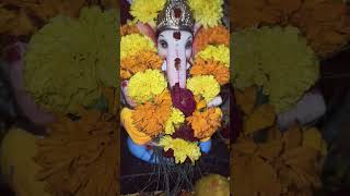 #vinayakachavithi #homeganpatibappa #2024ganesh_aarti_mantra_pushpanjali #2024ganesh #viralvideo