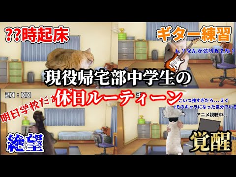 【猫ミーム】現役帰宅部中学生の休日ルーティーンが大波乱だったｗ