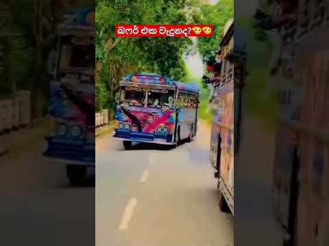 නීලපබළුගෙ වැනිල්ල කොහොමද 🫡💗 #kasiya_bus_kingdom #kasiyabro #rivika_official_bus #trending #viral