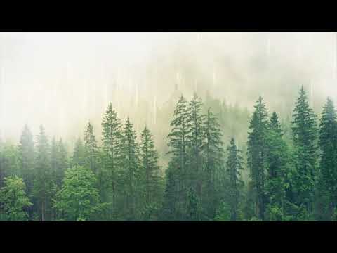 Relaxing Sound Of Rain. Go To Sleep With Beautiful Rein sound. No more INSOMNIA.