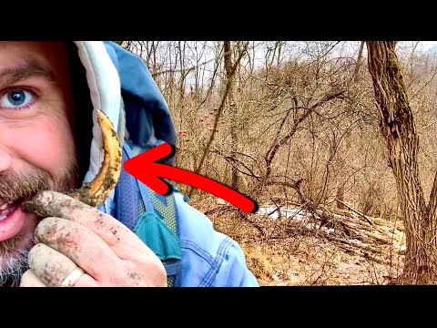 Something Very ODD Found Metal Detecting ! DPA Adventures