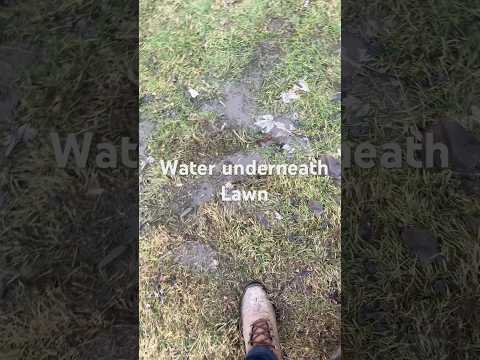 Water under the grass #subscribe #shorts #lawn #sigma