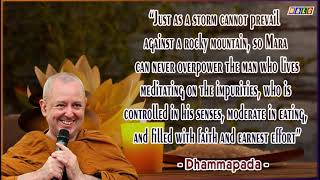 Story of the Past - Kāḷa junior and Kāḷa senior | Buddhist Legends