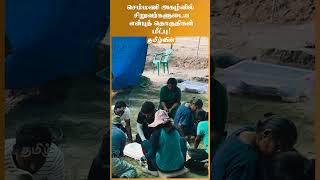 செம்மணி அகழ்வில் சிறுவர்களுடைய என்புத் தொகுதிகள் மீட்பு