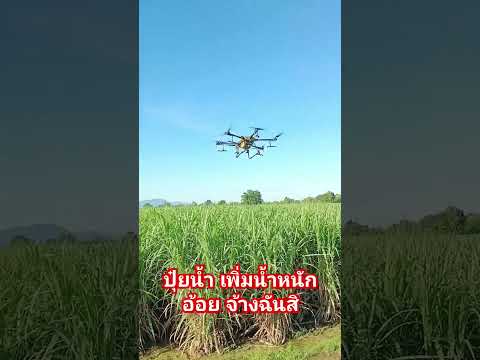 ใกล้เปิดหีบแล้ว ฉีดปุ๋ยน้ำสิ รออะไร #djit30 #โดรนการเกษตร #โดรน #drone #farming #dji