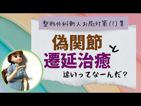 偽関節と遷延治癒の違い知っとる？【整形外科】#新人ナース看護師#お局対策?