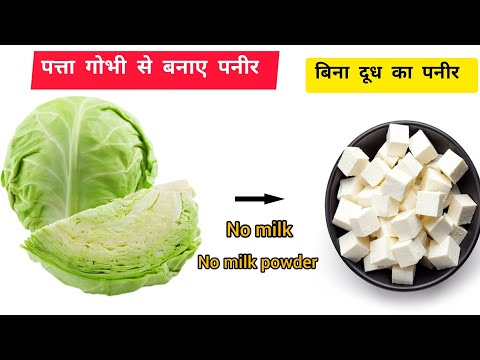 चिकन पनीर सब भूल जाएंगे जब इस नए तरीके से पत्ता गोभी की सब्जी बनाएंगे | Ek baar bana ke dekho |