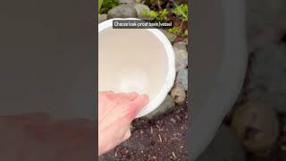 DIY Garden Fountain | Easy Water Feature Anyone Can Make!  #gardening #gardendiy #gardeninspiration