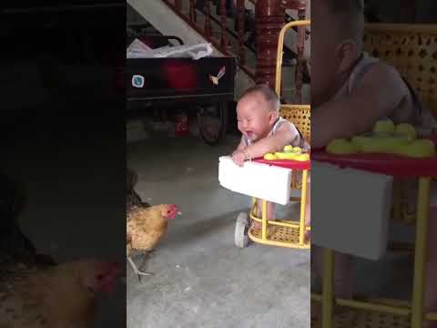 Baby with Hen 🤣🤣