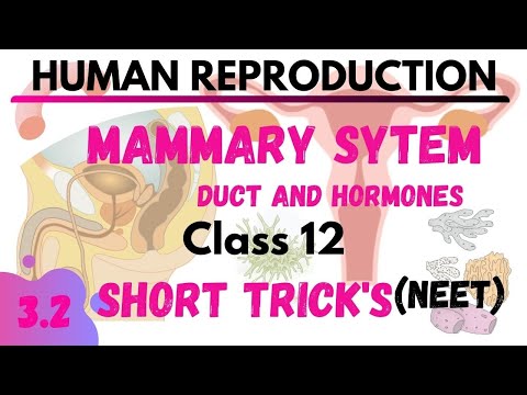 Mammary Gland DUCT AND HORMONES | HUMAN REPRODUCTION| NEETTRICK | NEETSHORTTRICK |NCERTBIOLOGY12NEET