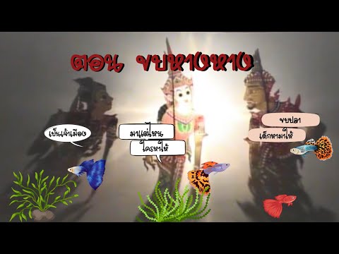 รวมตะลุงตลก ตอน ขบหางหาง  หนังน้องเดียว  หนังไข่นุ้ย หนังชัยยันต์ [ KOY Thailand ]