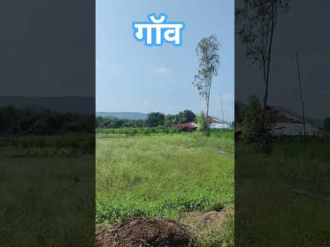 #gaon#nature#satpudakeghanejangal#naturelover