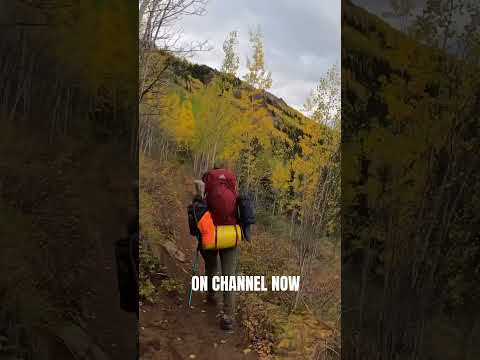 VIRTUAL HIKE of DENALI National Park #hiking #virtualhike #nature