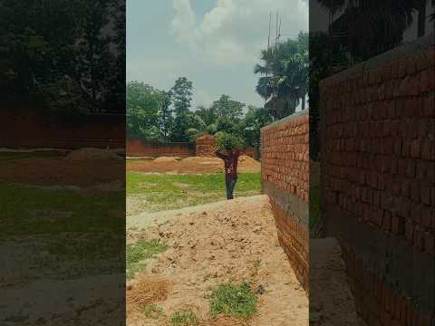 Isme mera kya galti #comedy #trending #trendingshorts #viralshorts #viral #funny #growth