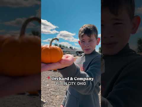 Apple Picking near Columbus, Ohio!  Orchard & Co #applepicking #shorts