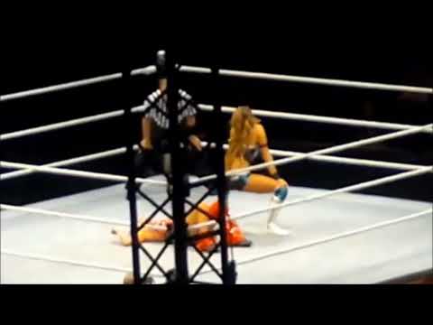 themma themma themmadikathe in wrestling WWE version