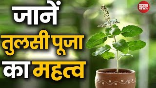 जानें तुलसी पूजन के फायदे और महत्व | तुलसी पूजा विधि | Tulsi Puja Kaise Kare