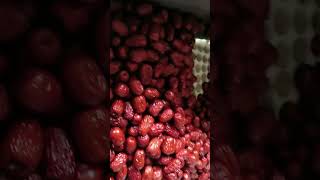 Red dates are pitted by machine #shots #harvest #Fruitprocessing