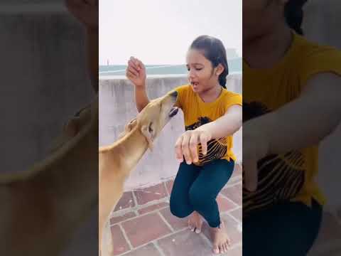 Kanni dog dance with girl | kanni pride dog | enna maiyle song