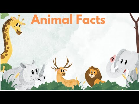 Crazy Facts About Animals 🐸 🐬 | Amazing Facts | Random Facts | Mind Blowing Facts in English #facts