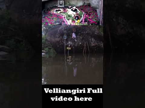 Velliangiri brahma theertham  #velliangirihills #shortsfeed #shorts #velliangiri #shortstamil