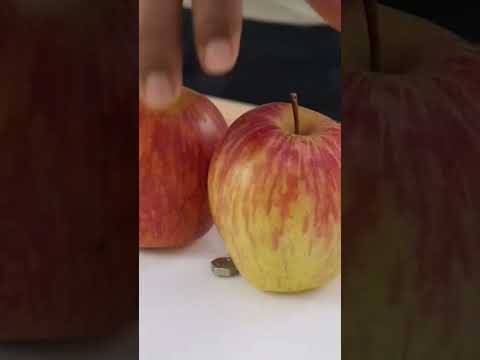 Auto-bill Generator using Edge Impulse @CodersCafeTech #artificialintelligence