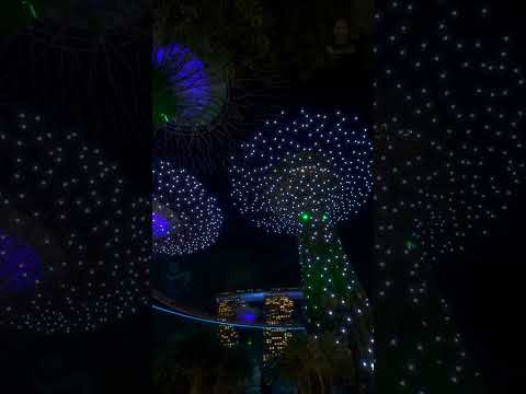 2024.11.30 Christmas Wonderland at Gardens by the Bay Singapore 4K