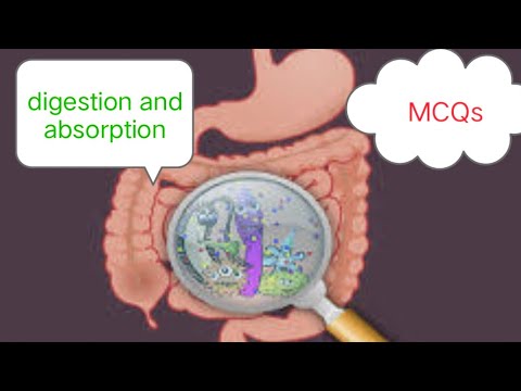 digestion and absorption mcq for neet students