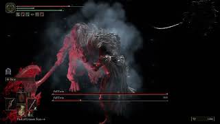 Elden Ring - Fell Twins Boss Fight - Dual Parry Dagger Build (Arcane)