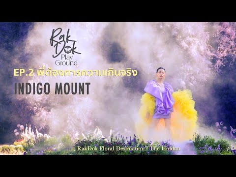 RakDok Playground l Ep. 2 พี่ต้องการความเกินจริง l Indigo Mount (ภูเขาสีคราม)