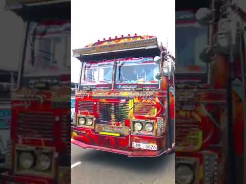 *අලුත් Update එකෙන් පස්සේ ගාලු ආපු කිදුරුකුමරිය ❤️😍* #bus #trending #viralshort