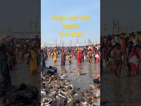 12-2-2025 तीसरा स्नान महाकुंभ प्रयागराज #mahakumbh2025 #shahisnan2025 #pryagrajnews