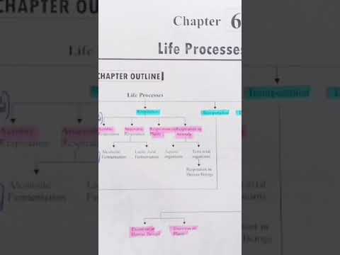 ncert solutions class 10th biology chapter 1 life processes introduction// #shorts #viralshorts