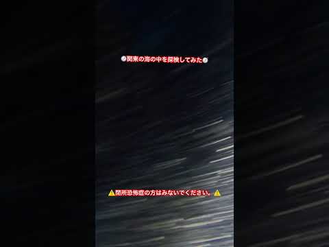 【海の迷宮】#ダイビング #ダイビングライセンス #洞窟 #海の生き物 #海洋 #海洋生物 #海 #海の中 #diving #サメ #sos #危機一髪 #shorts